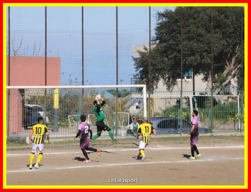 190310 Cephal_Torrenov 056_tn.jpg